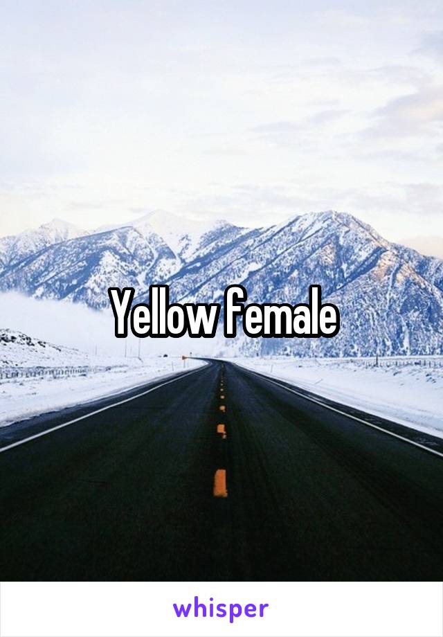 Yellow female