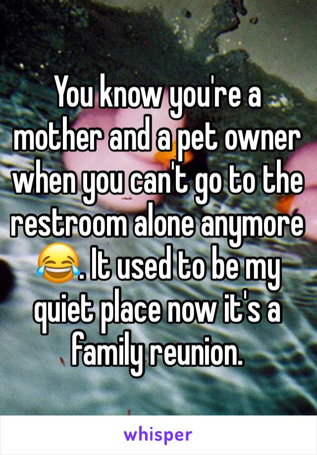 You know you're a mother and a pet owner when you can't go to the restroom alone anymore 😂. It used to be my quiet place now it's a family reunion. 