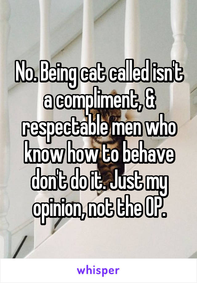 No. Being cat called isn't a compliment, & respectable men who know how to behave don't do it. Just my opinion, not the OP.