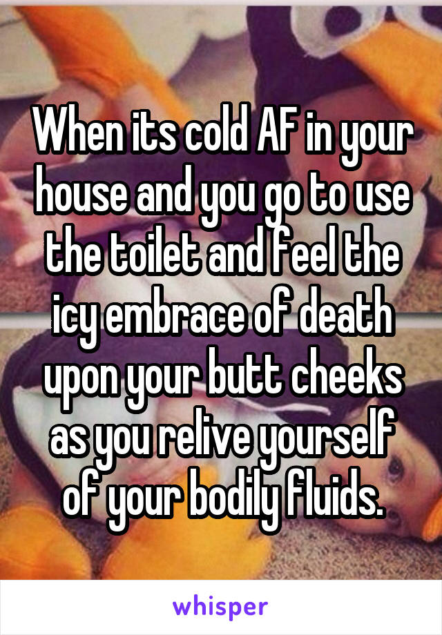 When its cold AF in your house and you go to use the toilet and feel the icy embrace of death upon your butt cheeks as you relive yourself of your bodily fluids.