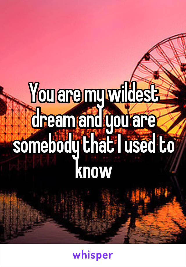 You are my wildest dream and you are somebody that I used to know