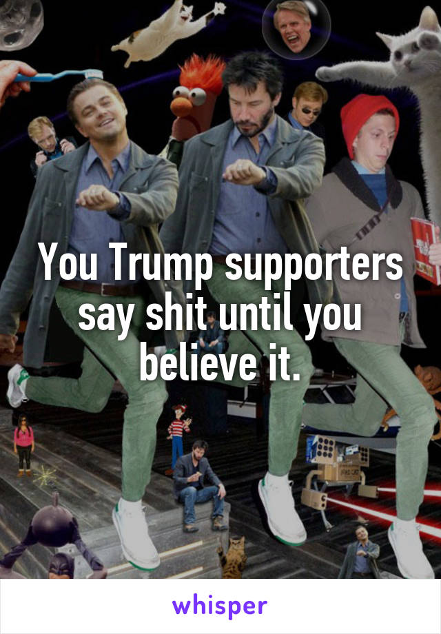 You Trump supporters say shit until you believe it.