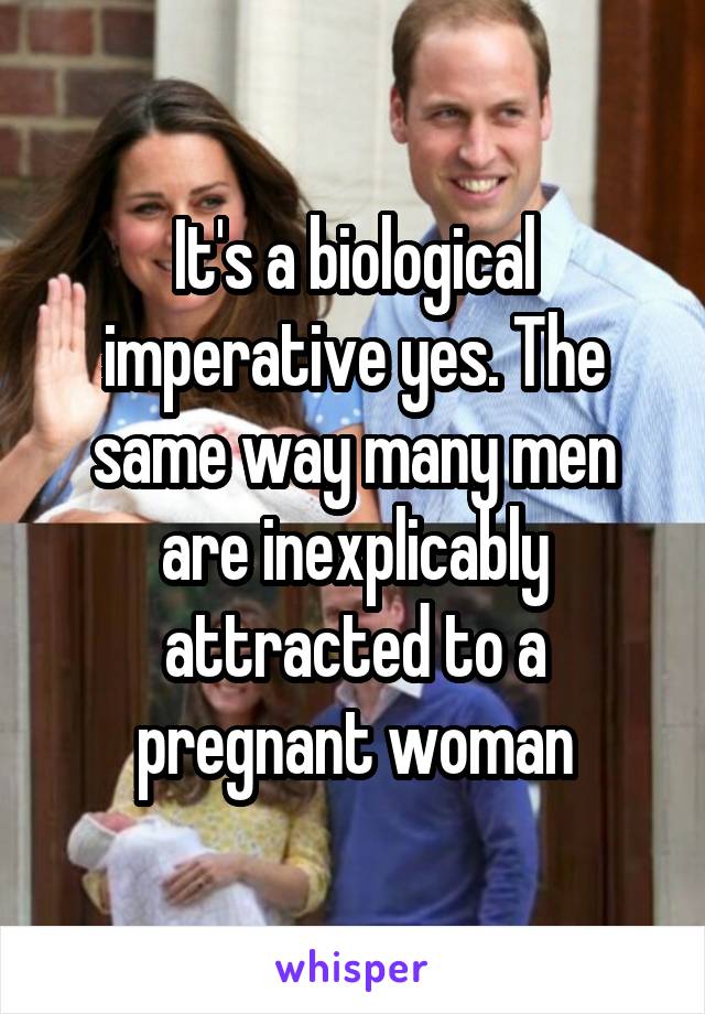 It's a biological imperative yes. The same way many men are inexplicably attracted to a pregnant woman