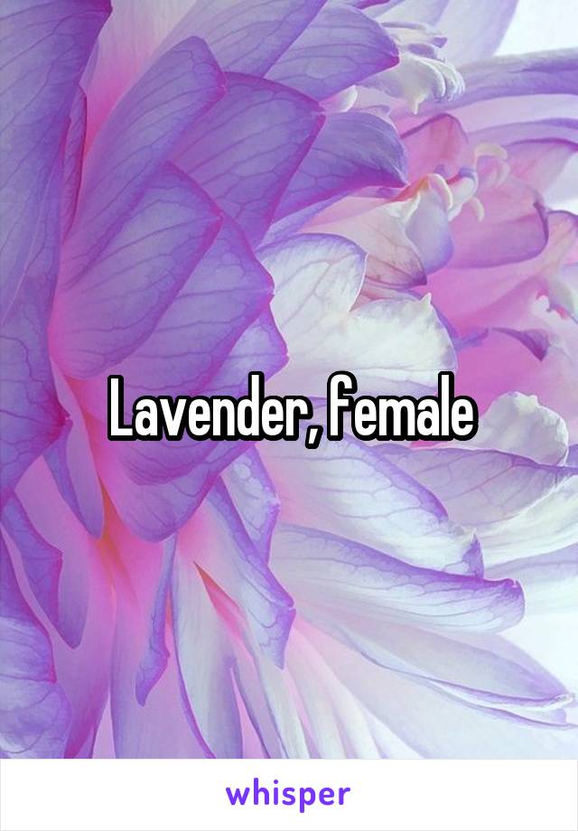 Lavender, female