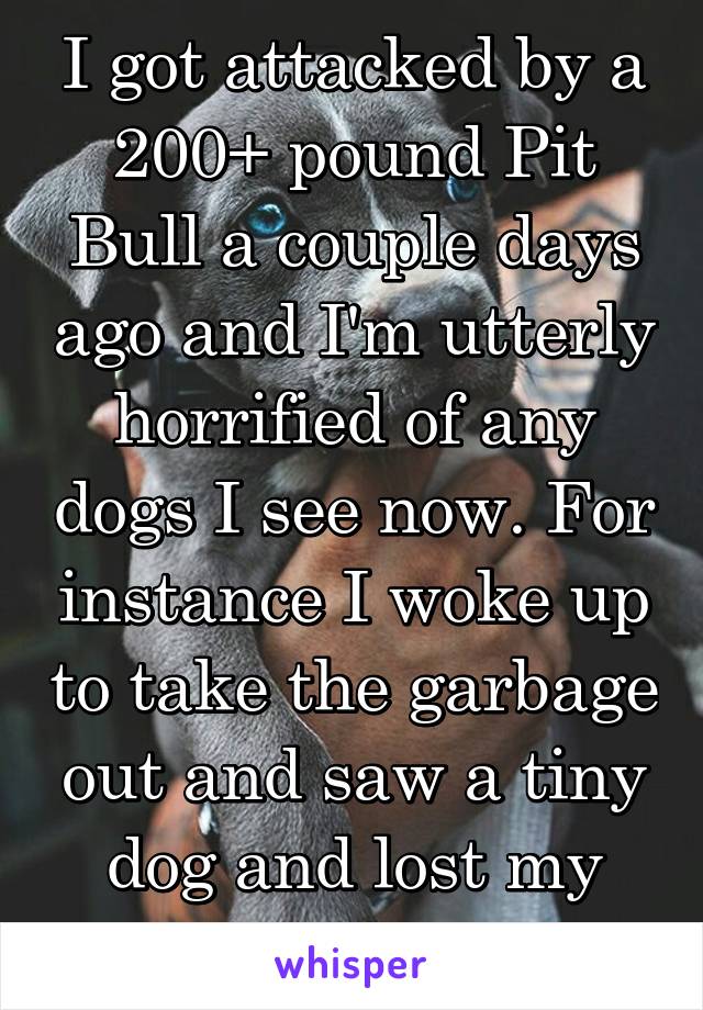 I got attacked by a 200+ pound Pit Bull a couple days ago and I'm utterly horrified of any dogs I see now. For instance I woke up to take the garbage out and saw a tiny dog and lost my shit and cried.