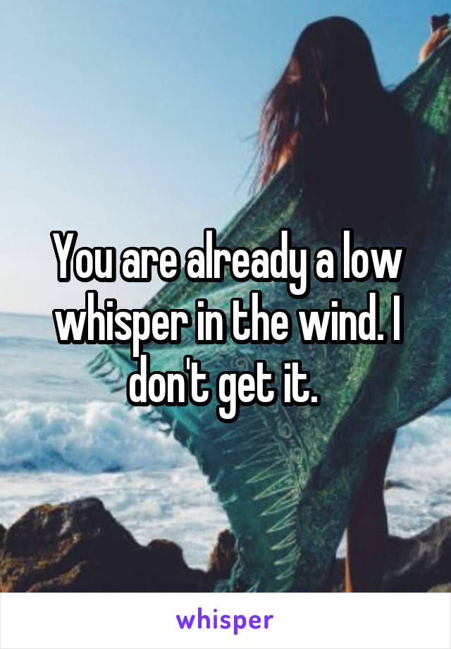 You are already a low whisper in the wind. I don't get it. 