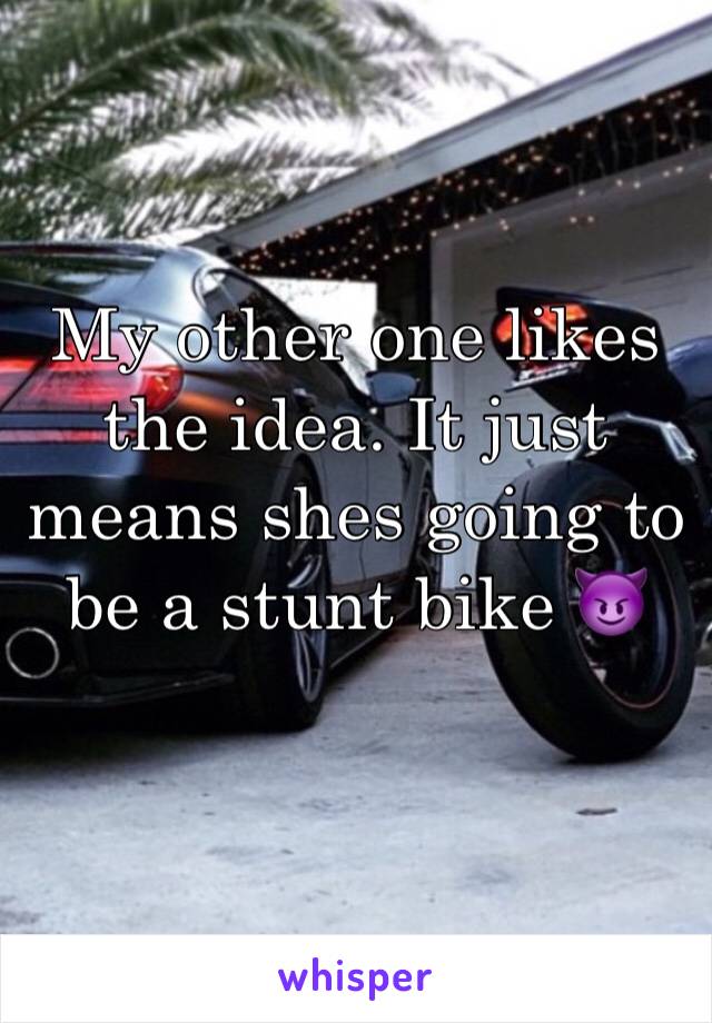 My other one likes the idea. It just means shes going to be a stunt bike 😈