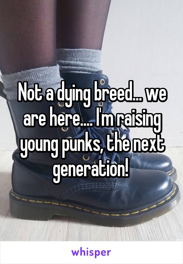 Not a dying breed... we are here.... I'm raising young punks, the next generation! 