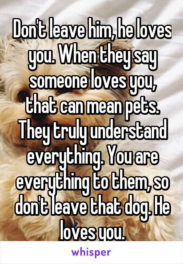 Don't leave him, he loves you. When they say someone loves you, that can mean pets. They truly understand everything. You are everything to them, so don't leave that dog. He loves you.