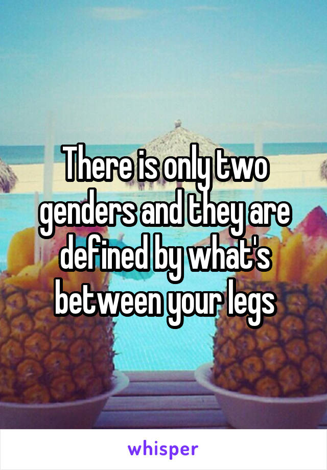 There is only two genders and they are defined by what's between your legs