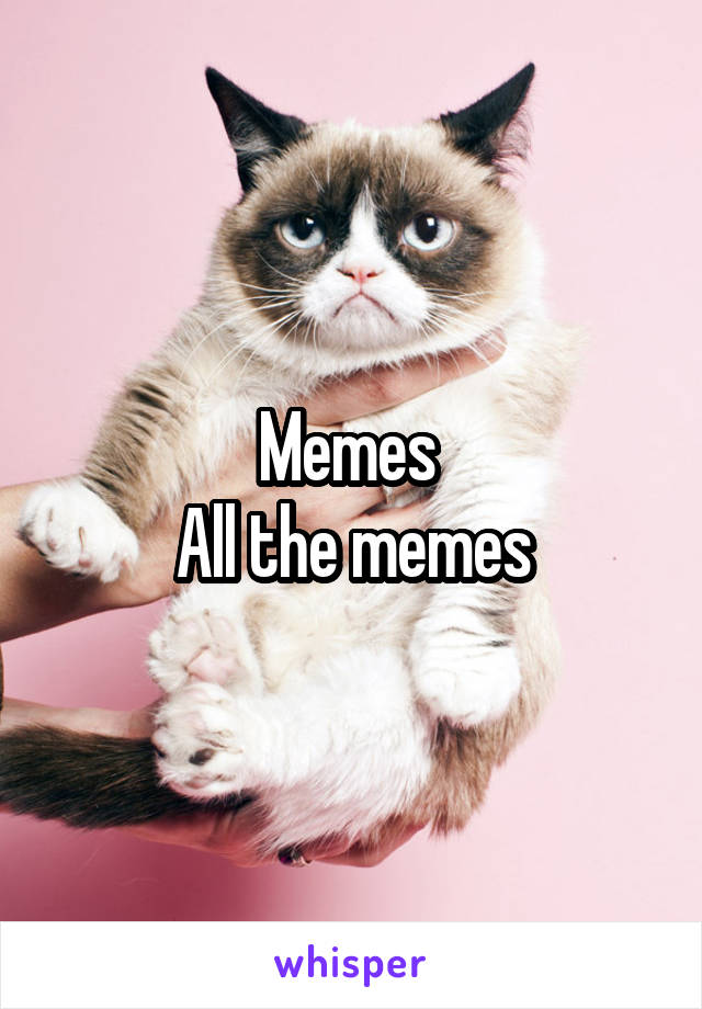 Memes 
All the memes