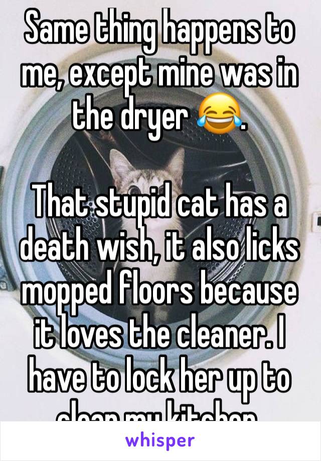 Same thing happens to me, except mine was in the dryer 😂. 

That stupid cat has a death wish, it also licks mopped floors because it loves the cleaner. I have to lock her up to clean my kitchen. 