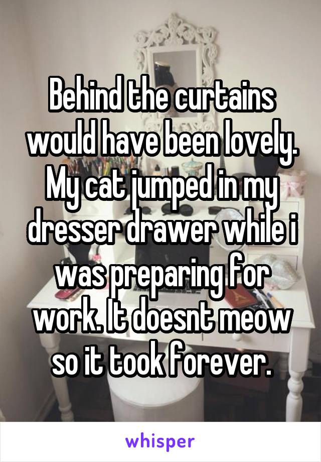 Behind the curtains would have been lovely. My cat jumped in my dresser drawer while i was preparing for work. It doesnt meow so it took forever.