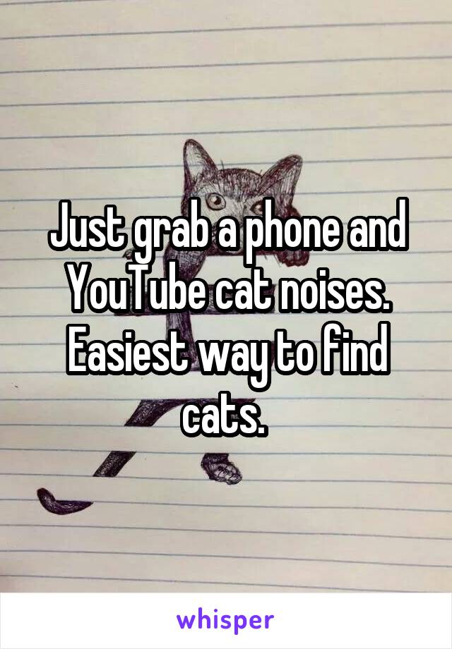 Just grab a phone and YouTube cat noises. Easiest way to find cats. 