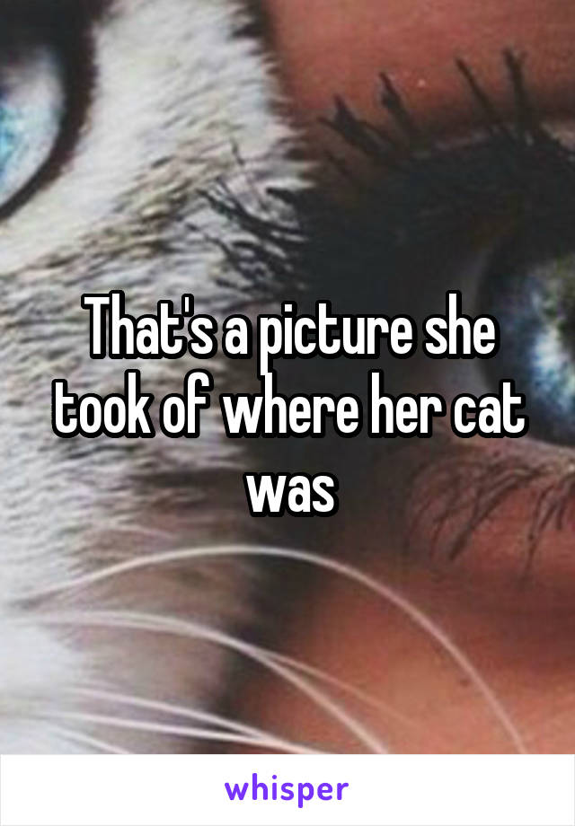 That's a picture she took of where her cat was