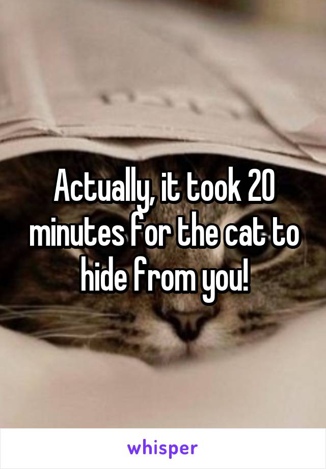 Actually, it took 20 minutes for the cat to hide from you!