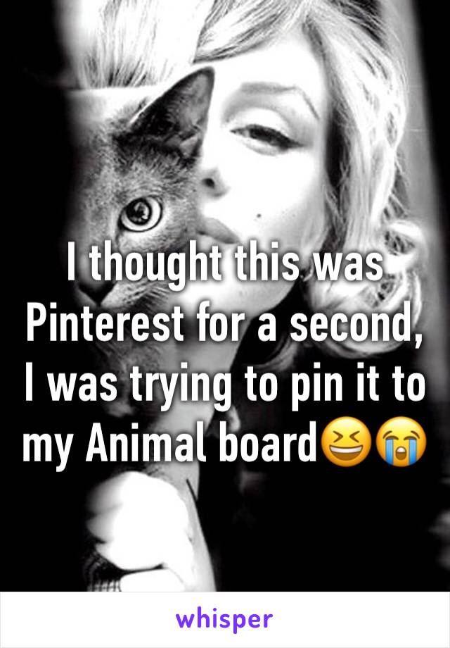 I thought this was Pinterest for a second, 
I was trying to pin it to my Animal board😆😭