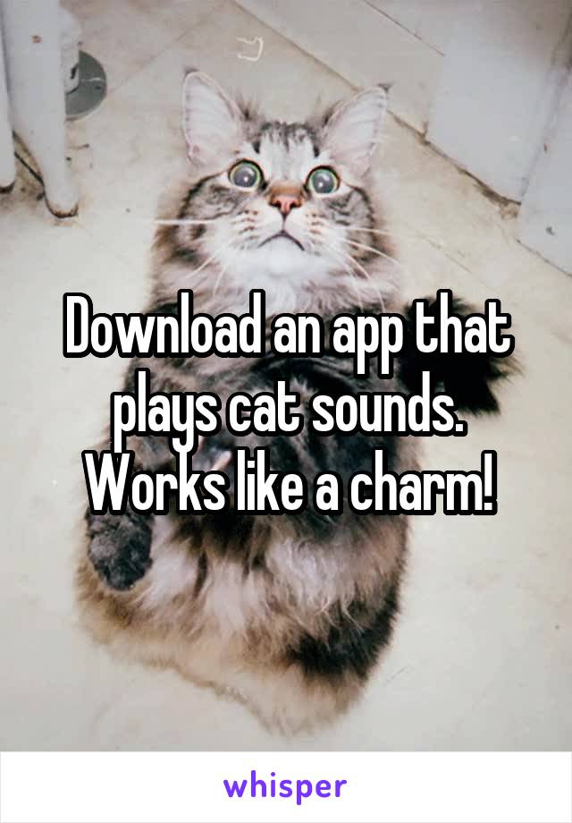 Download an app that plays cat sounds. Works like a charm!