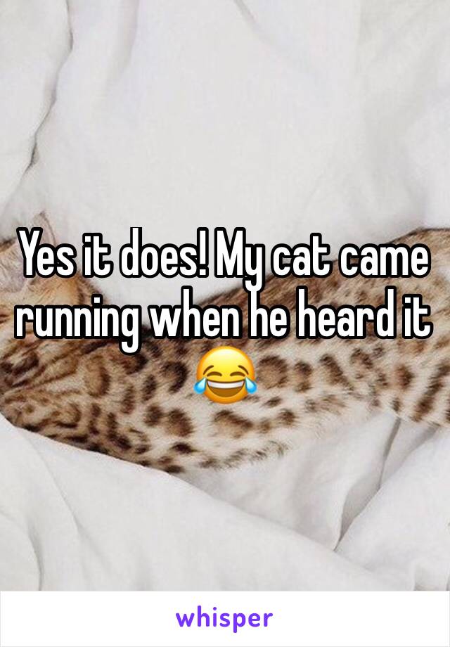 Yes it does! My cat came running when he heard it 😂