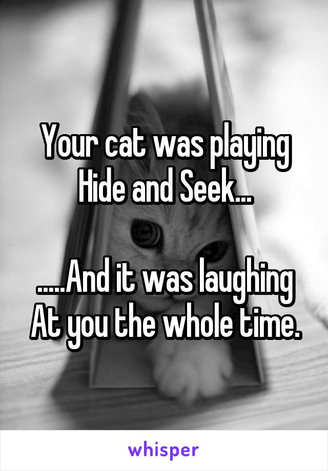 Your cat was playing
Hide and Seek...

.....And it was laughing
At you the whole time.