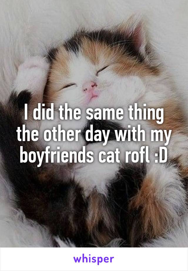 I did the same thing the other day with my boyfriends cat rofl :D