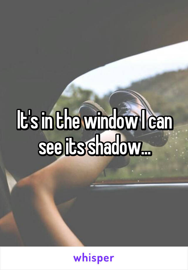 It's in the window I can see its shadow...