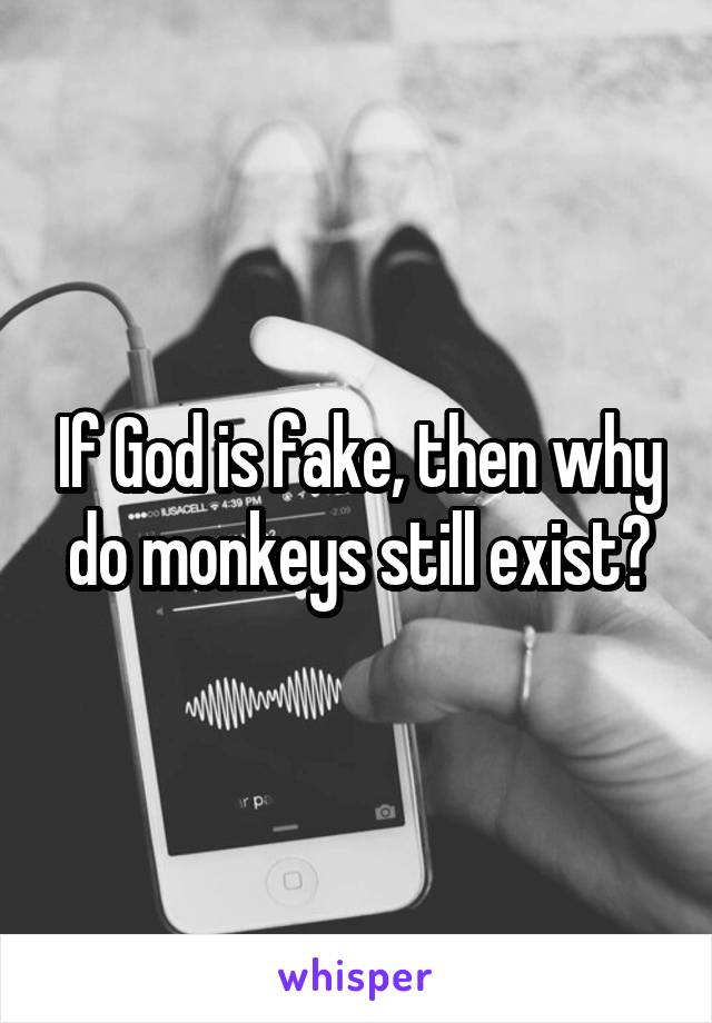 If God is fake, then why do monkeys still exist?