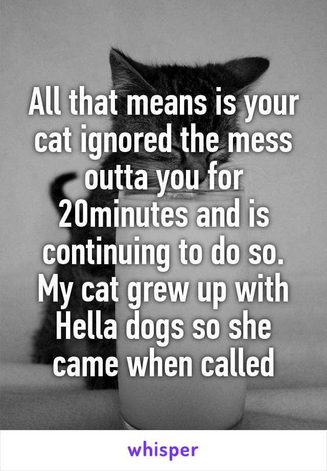 All that means is your cat ignored the mess outta you for 20minutes and is continuing to do so. My cat grew up with Hella dogs so she came when called