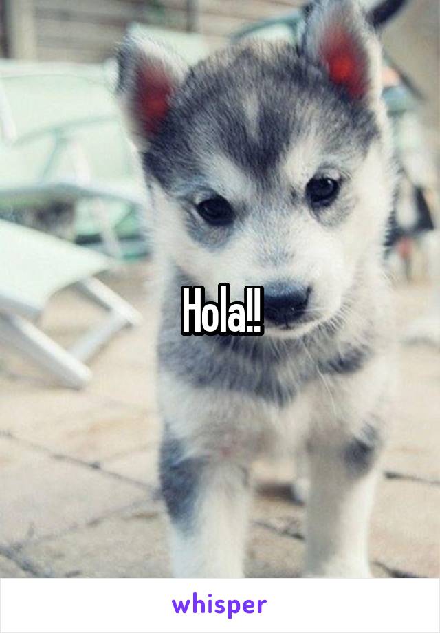 Hola!!