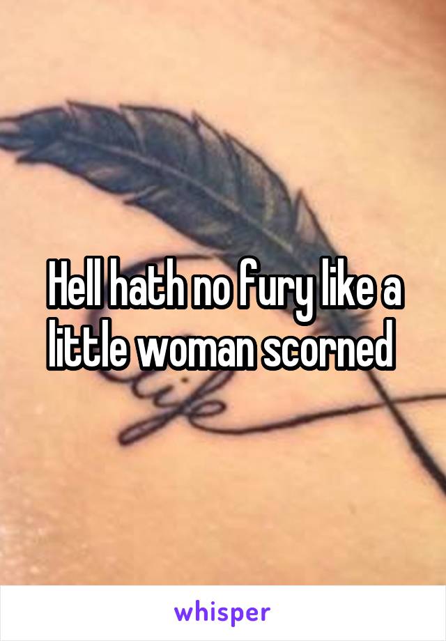 Hell hath no fury like a little woman scorned 