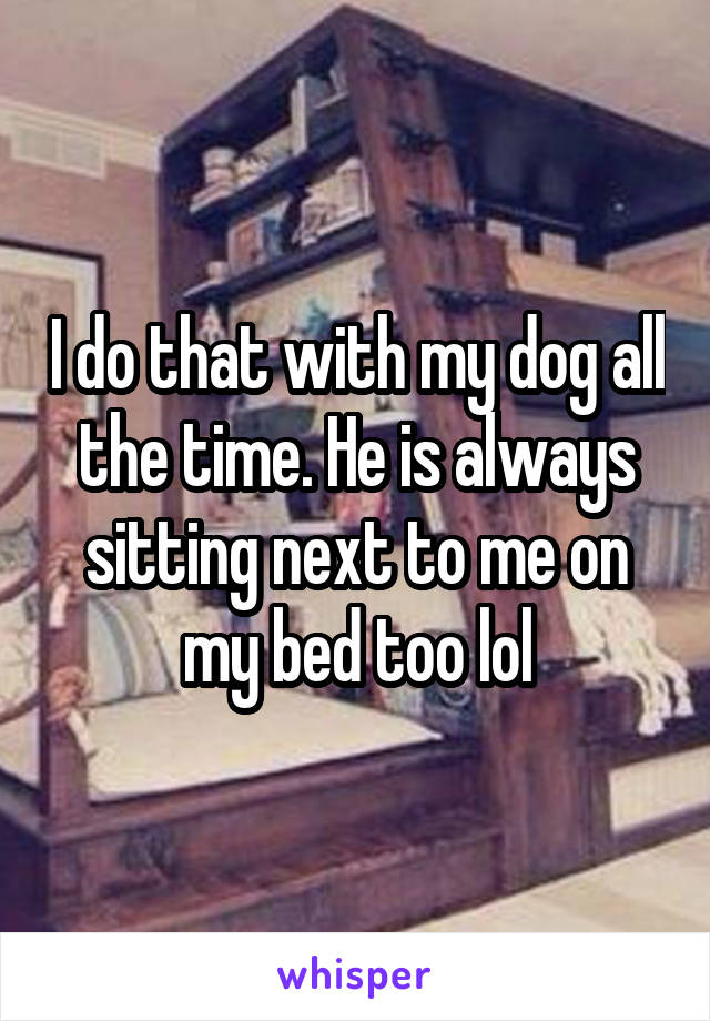 I do that with my dog all the time. He is always sitting next to me on my bed too lol