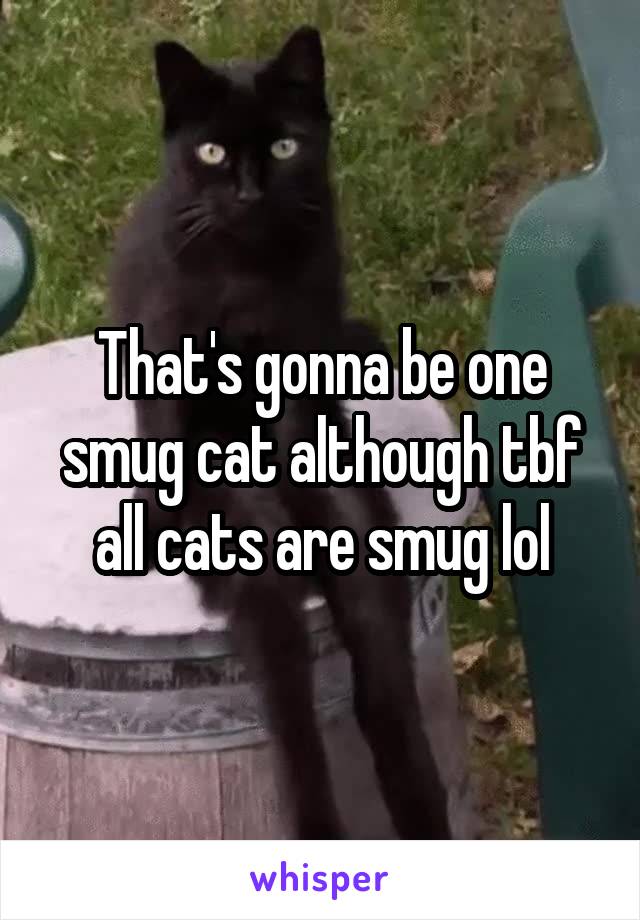 That's gonna be one smug cat although tbf all cats are smug lol