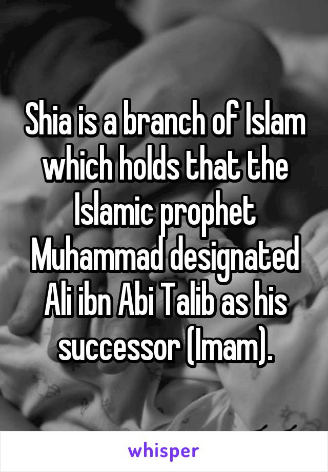 Shia is a branch of Islam which holds that the Islamic prophet Muhammad designated Ali ibn Abi Talib as his successor (Imam).