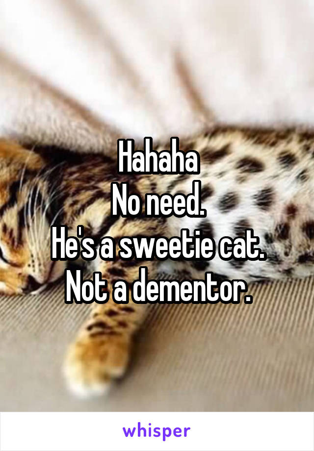 Hahaha
No need.
He's a sweetie cat.
Not a dementor.