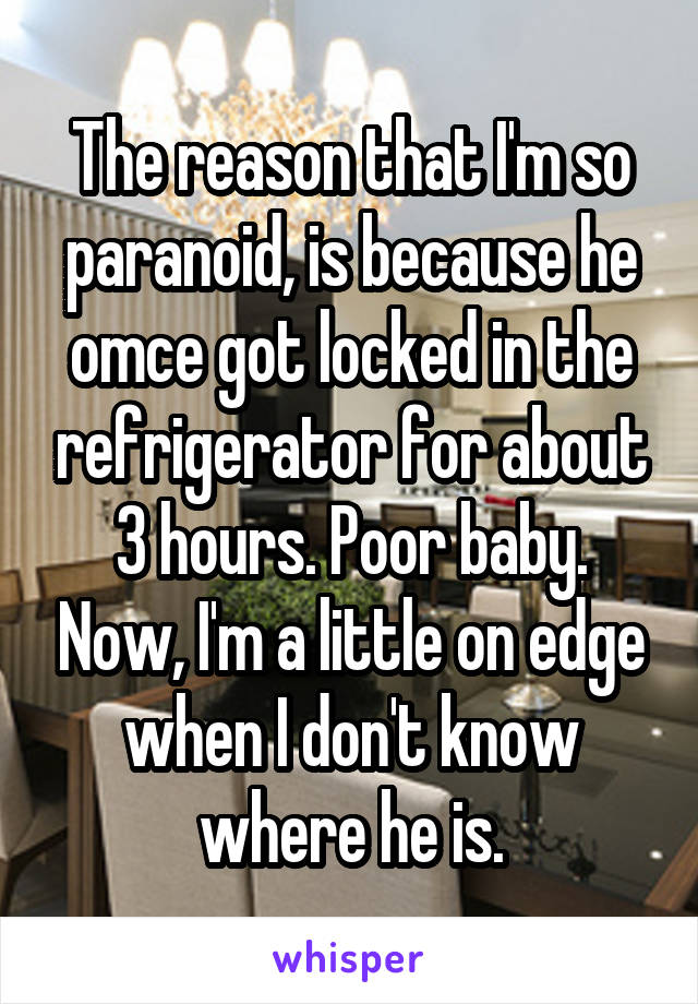 The reason that I'm so paranoid, is because he omce got locked in the refrigerator for about 3 hours. Poor baby. Now, I'm a little on edge when I don't know where he is.