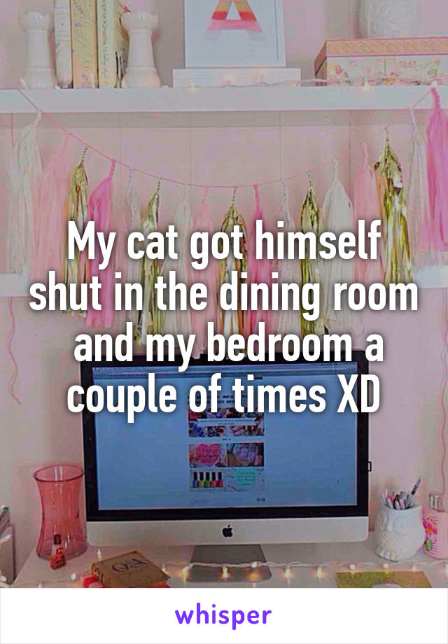 My cat got himself shut in the dining room  and my bedroom a couple of times XD