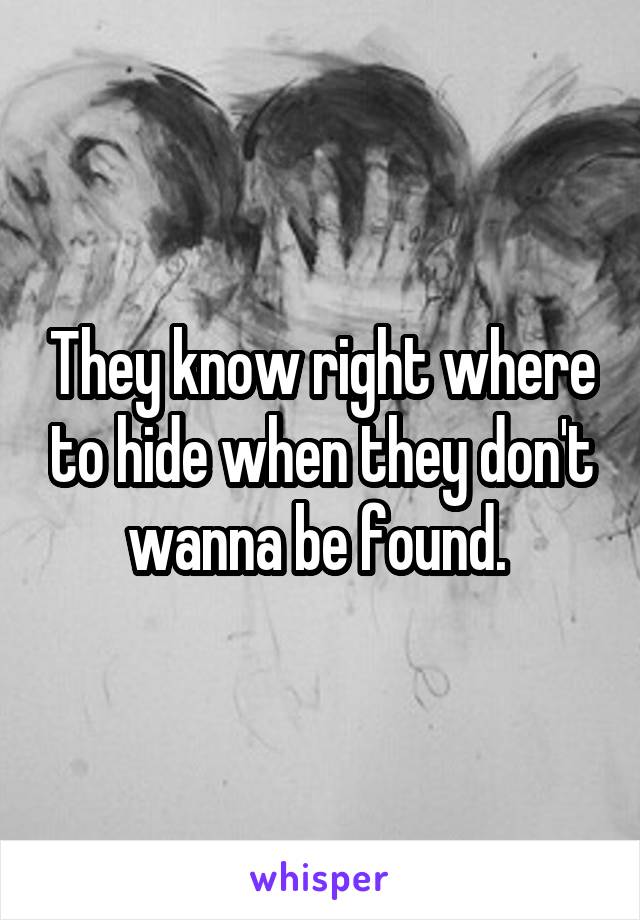 They know right where to hide when they don't wanna be found. 