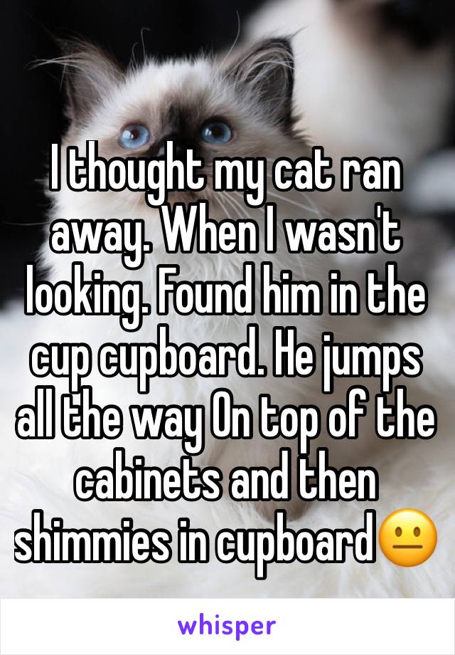 I thought my cat ran away. When I wasn't looking. Found him in the cup cupboard. He jumps all the way On top of the cabinets and then shimmies in cupboard😐