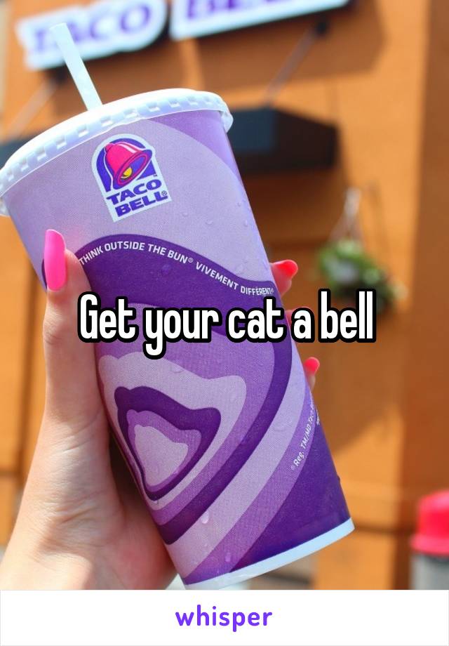 Get your cat a bell