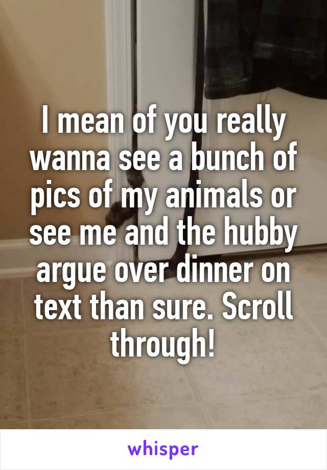 I mean of you really wanna see a bunch of pics of my animals or see me and the hubby argue over dinner on text than sure. Scroll through!