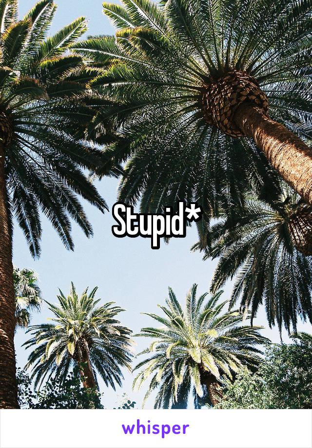 Stupid*