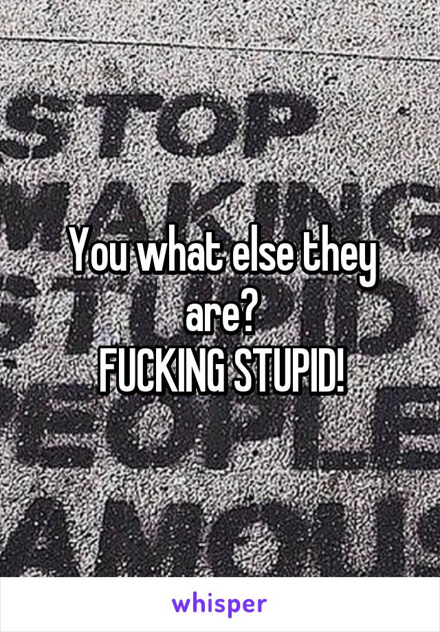 You what else they are?
FUCKING STUPID!