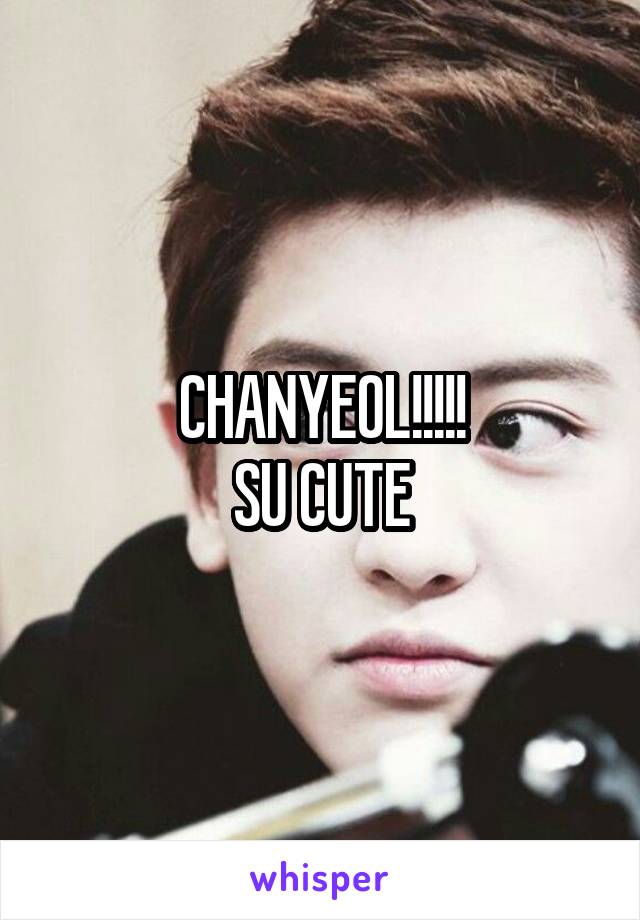 CHANYEOL!!!!!
SU CUTE