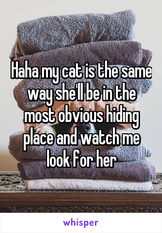 Haha my cat is the same way she'll be in the most obvious hiding place and watch me look for her