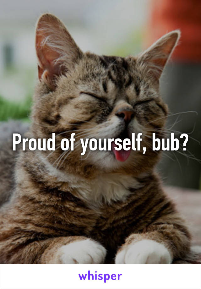 Proud of yourself, bub?