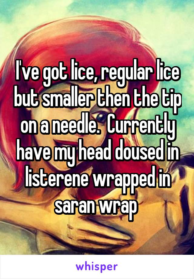 I've got lice, regular lice but smaller then the tip on a needle.  Currently have my head doused in listerene wrapped in saran wrap 