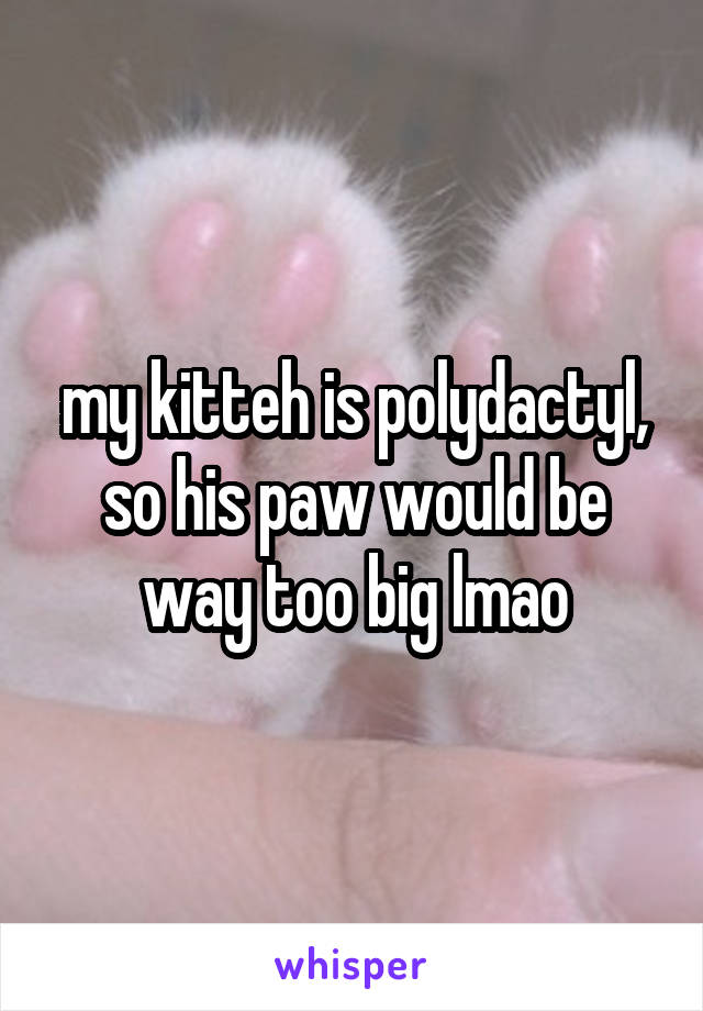 my kitteh is polydactyl, so his paw would be way too big lmao