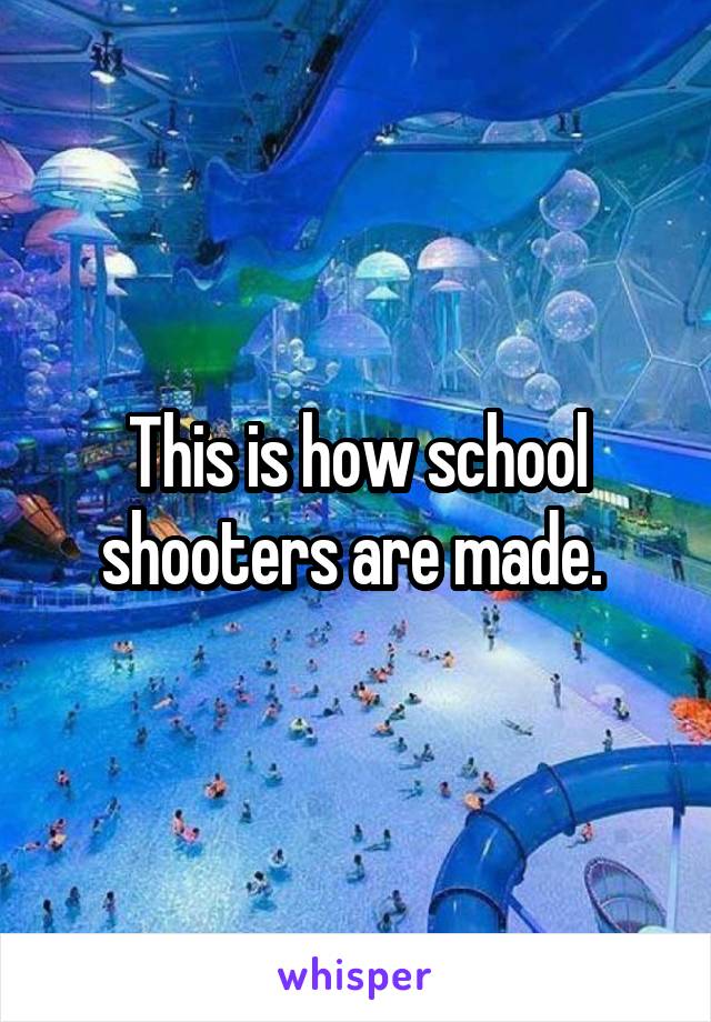 This is how school shooters are made. 