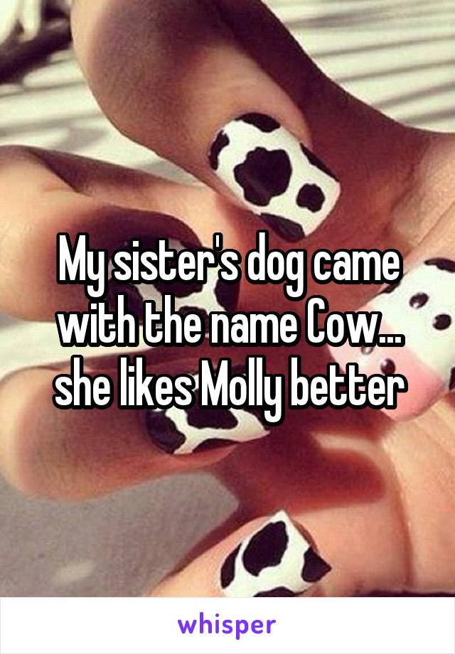 My sister's dog came with the name Cow... she likes Molly better