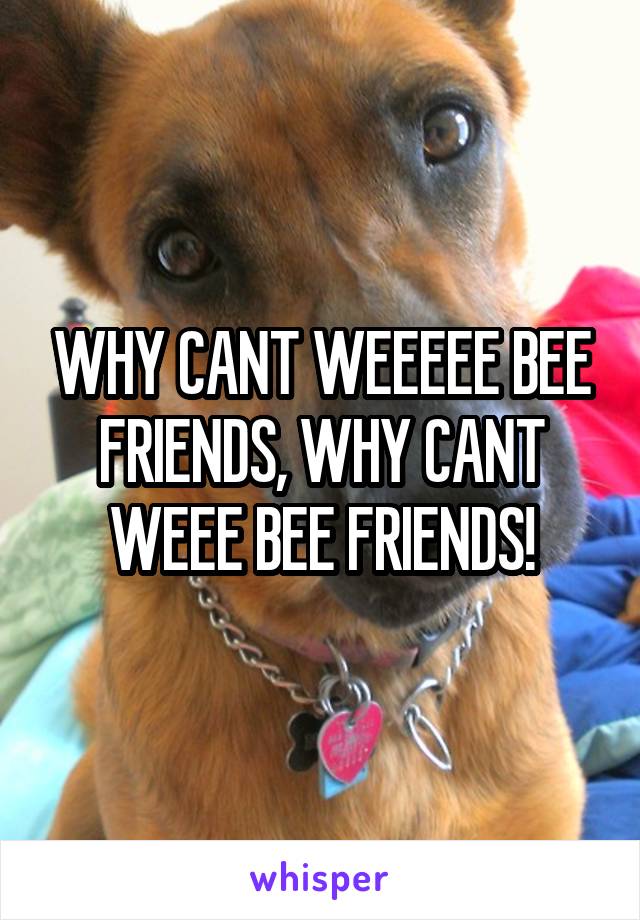 WHY CANT WEEEEE BEE FRIENDS, WHY CANT WEEE BEE FRIENDS!